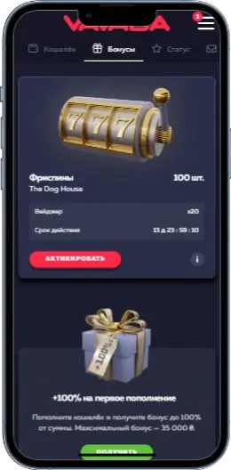 Vavada Бонуси