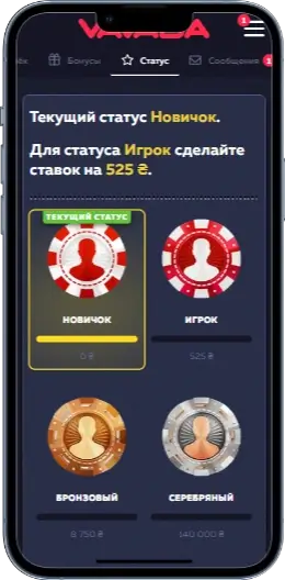 Vavada Статус