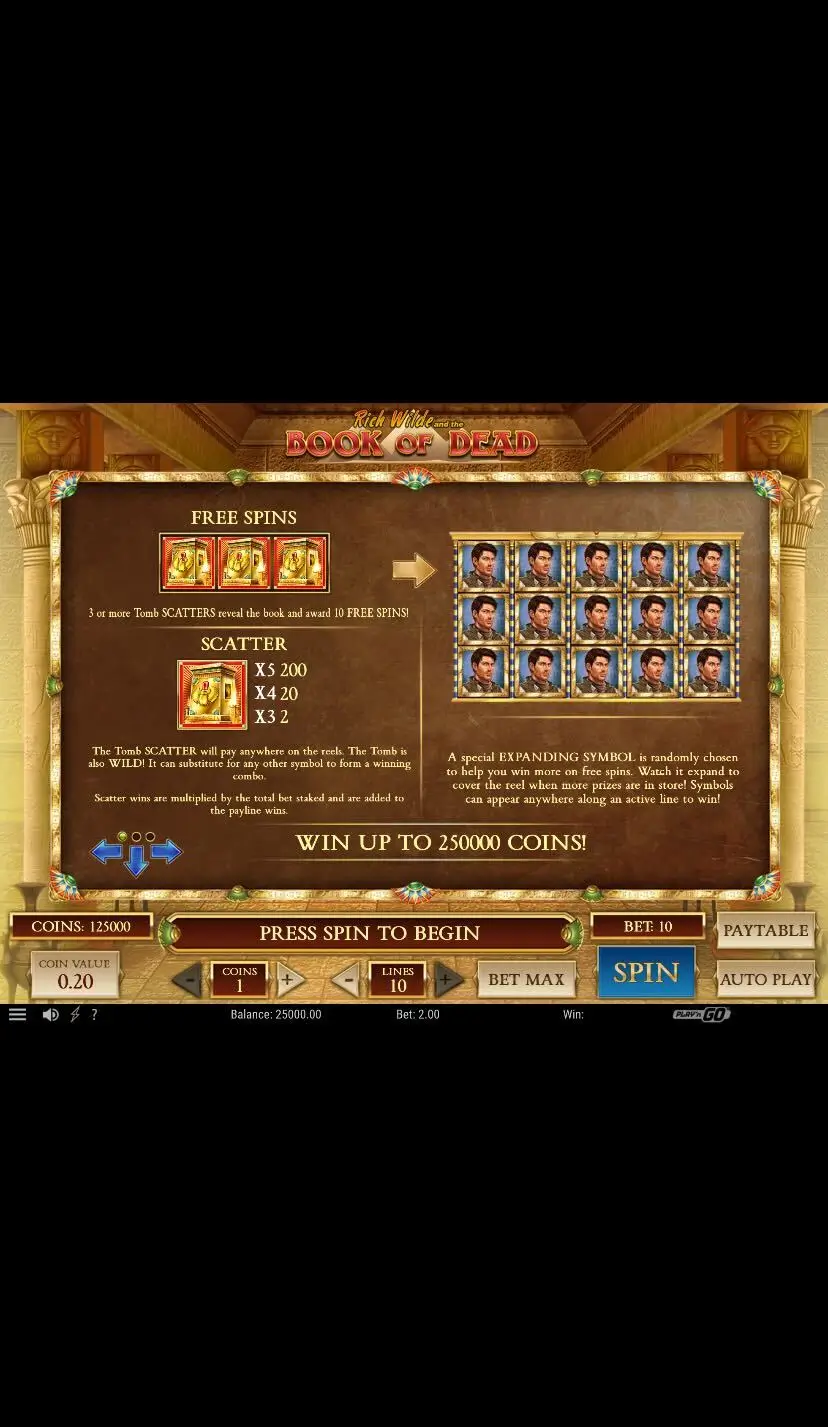 Book of Dead Информация