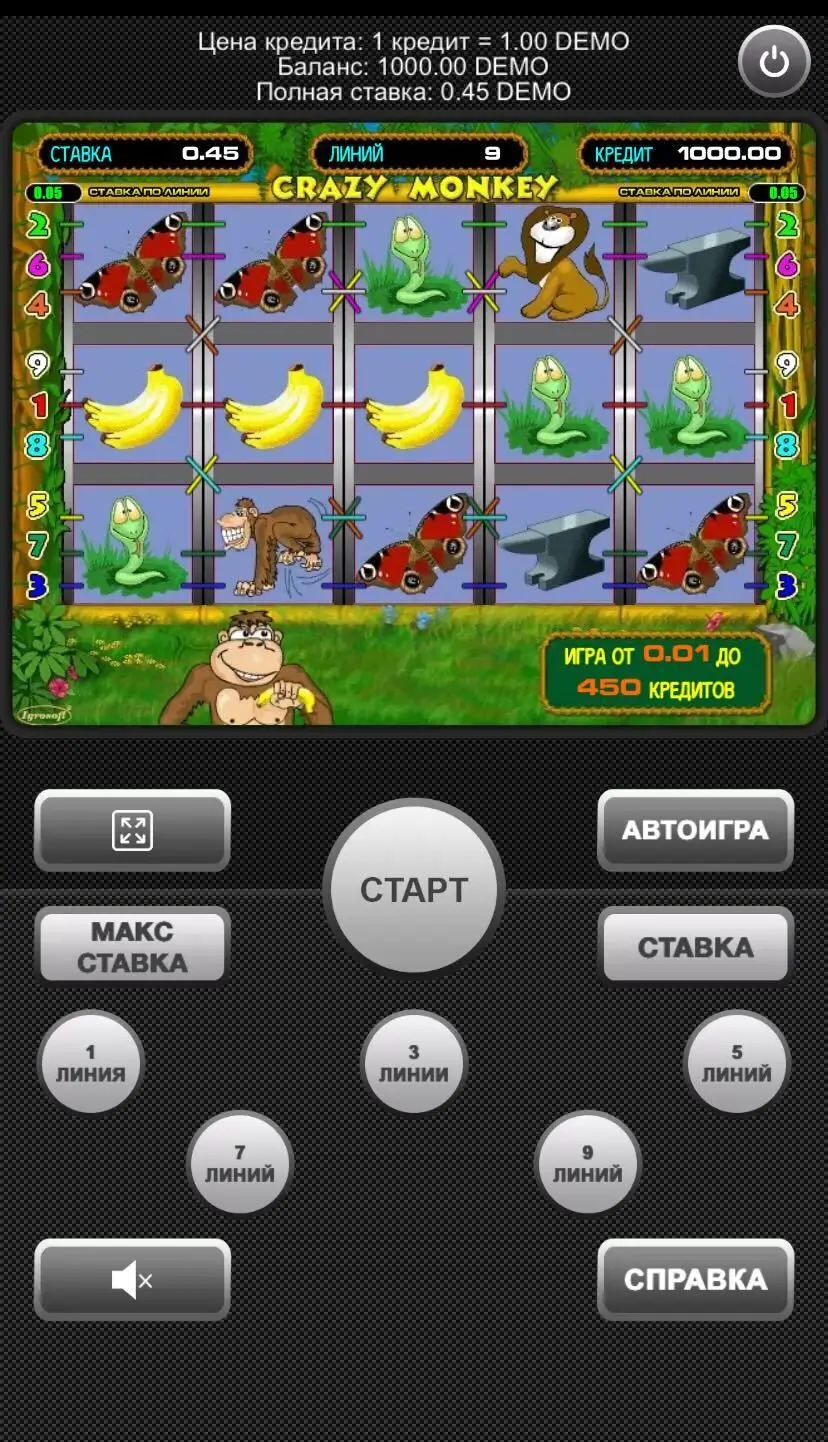 Crazy Monkey Дизайн